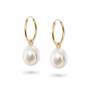 Classic Gold Tube Hoop Earrings with Fresh Water Pearl (by Pair)