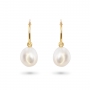 Classic Gold Tube Hoop Earrings with Fresh Water Pearl (by Pair)