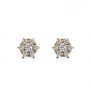 Hexagon Shape Stud Earrings with 14 Diamonds