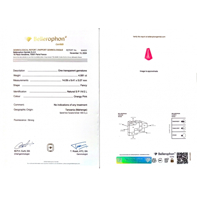 Snake of Eden Necklace