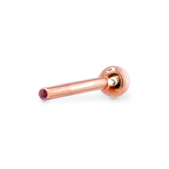 Back Part Internal Threading Helix Piercing - Ball