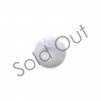 Loose Tridacna Natural Pearl 3.517ct Gemstone