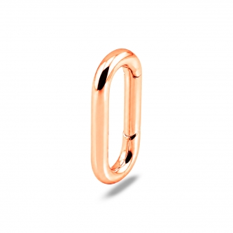 Lustre Link Clasp Charm Holder