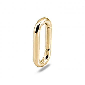 Lustre Link Clasp Charm Holder