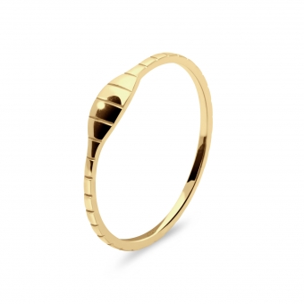 Solid Gold Ring of Clogged Pipe