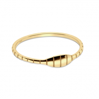 Solid Gold Ring of Clogged Pipe