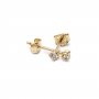 Classic Gold Stud Earrings with Gemstone