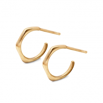 Solid Gold Hoop Earrings