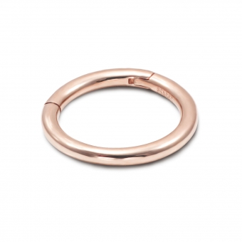 Solid Gold 1.2mm Segment Earrings