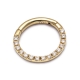 Yellow Solid Gold Side Diamonds Segment Earrings Yellow Solid Gold Side Diamonds Segment Earrings