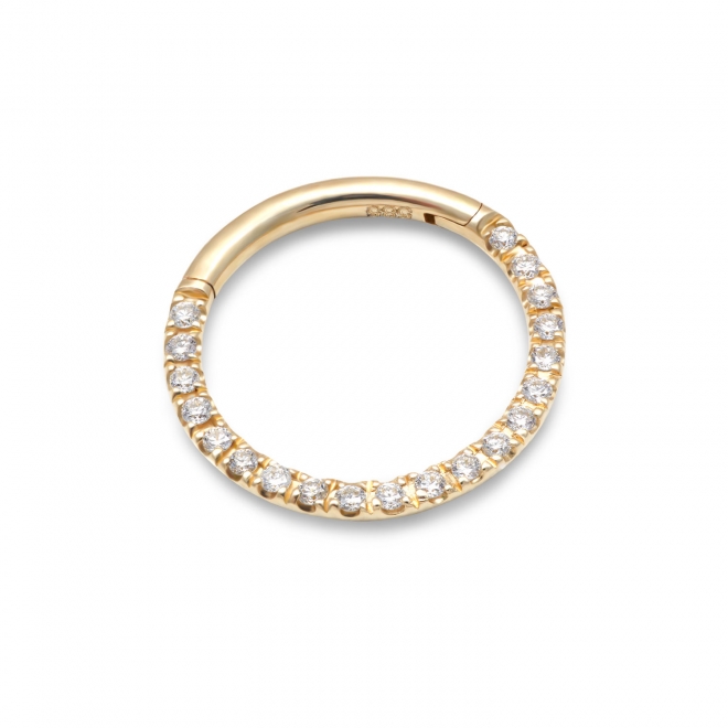 Solid Gold Side Diamonds Segment Earrings