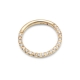 Yellow Solid Gold Side Diamonds Segment Earrings Yellow Solid Gold Side Diamonds Segment Earrings