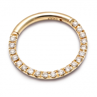 Solid Gold Side Diamonds Segment Earrings